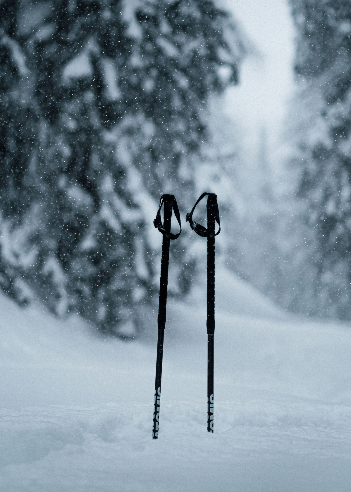 Best Ski Poles